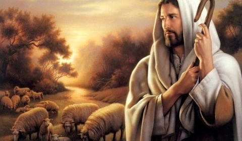 Jesus ovejas